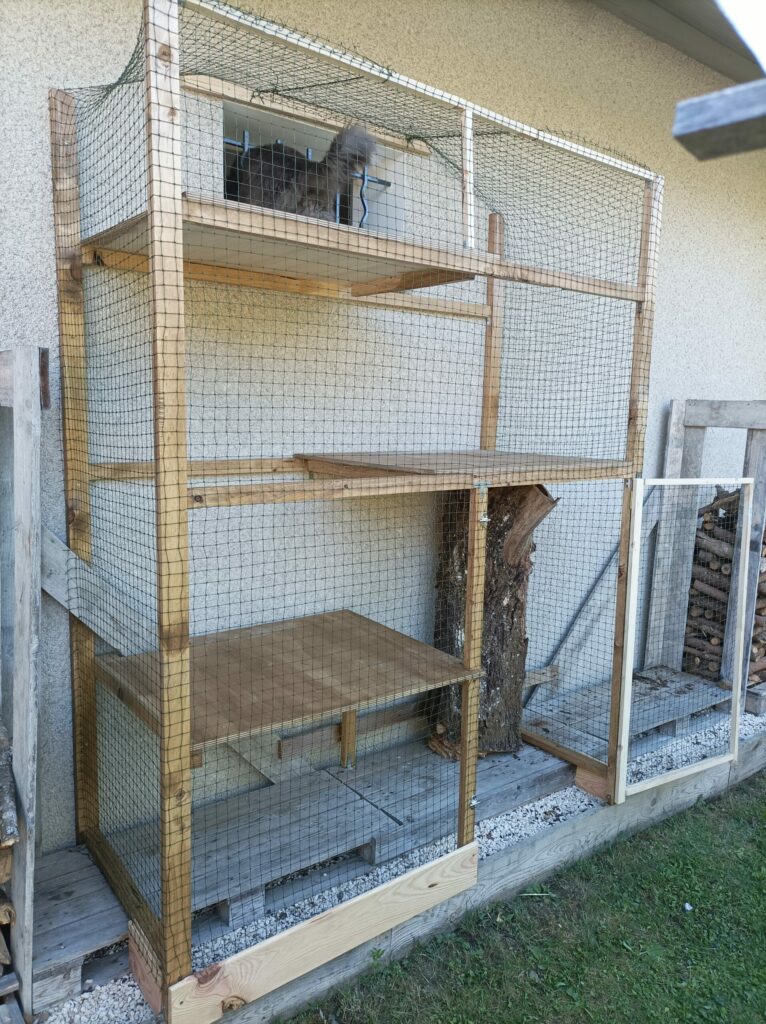 Fabrication d'un enclos pour chats sur mesure