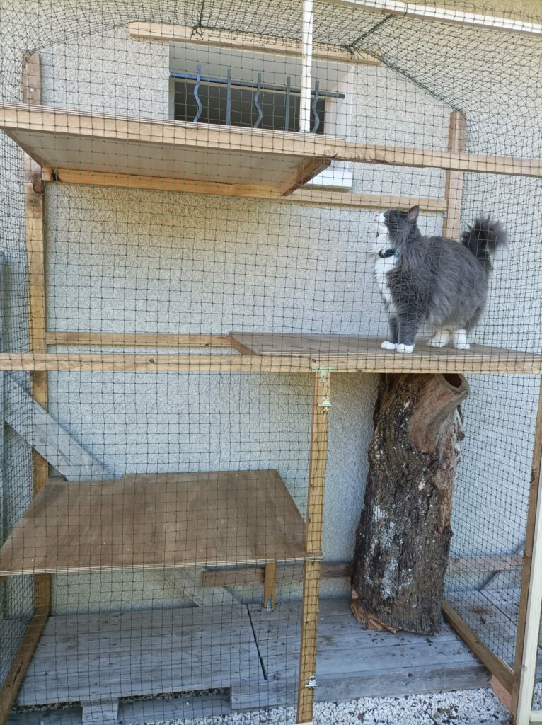 Fabrication d'un enclos pour chats sur mesure