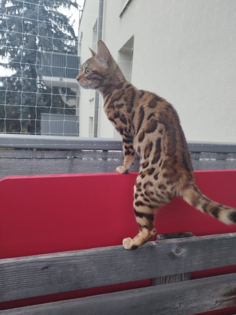 Filet anti chute sur balcon à Annecy