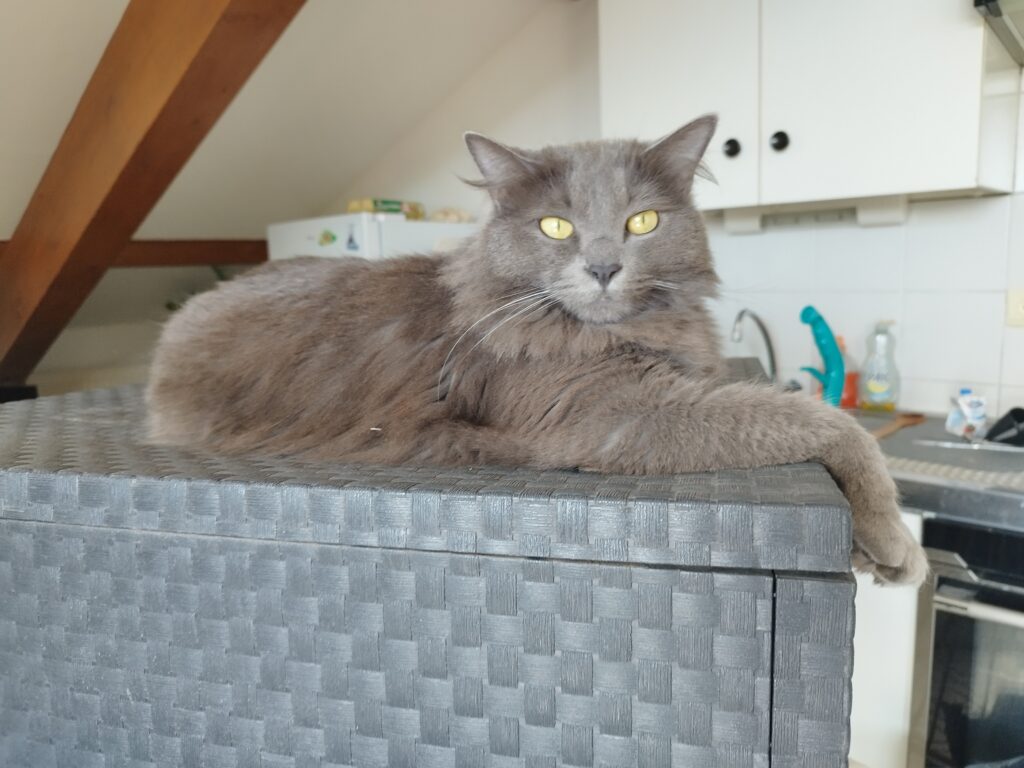 Filet anti chute sur balcon à Chambery