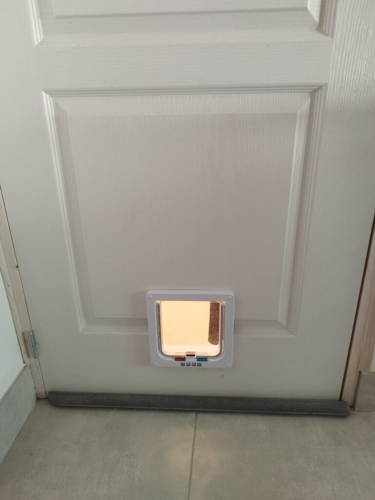 Chatière dans porte à Sillingy